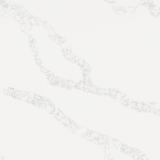 PXQZ103 網(wǎng)紋魚(yú)肚白